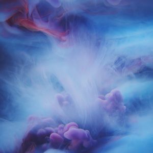 Meet your Posher, Brock